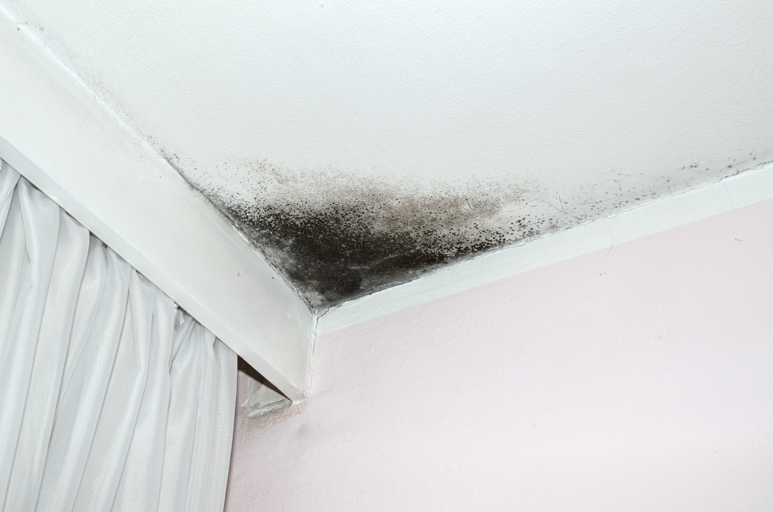 mold on living room ceiling